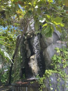 Black Forest Walking trails, 15