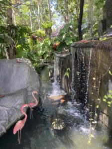 Black Forest Walking trails, 14