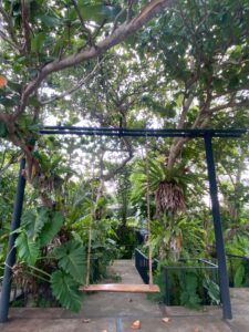 black Forest Walking trails 12