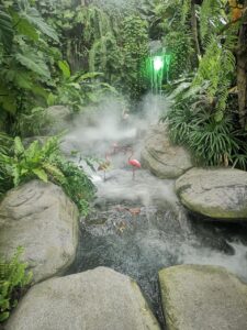 Black forest walking trails 1