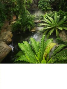 Black Forest Walking trails 2