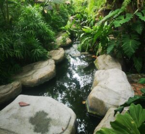 Black Forest Walking trails 3