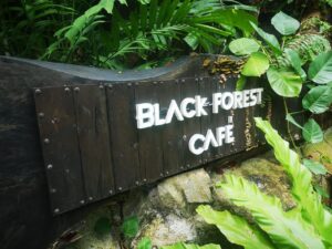 Black Forest Walking trails 3