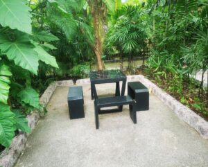 Black Forest Walking trails 8