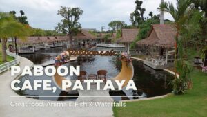 paboon cafe pattaya