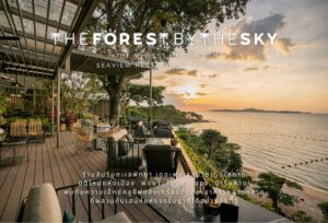 pattaya the forest in the sky cafe