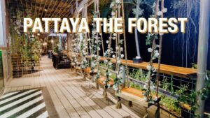 Pattaya the forest cafe